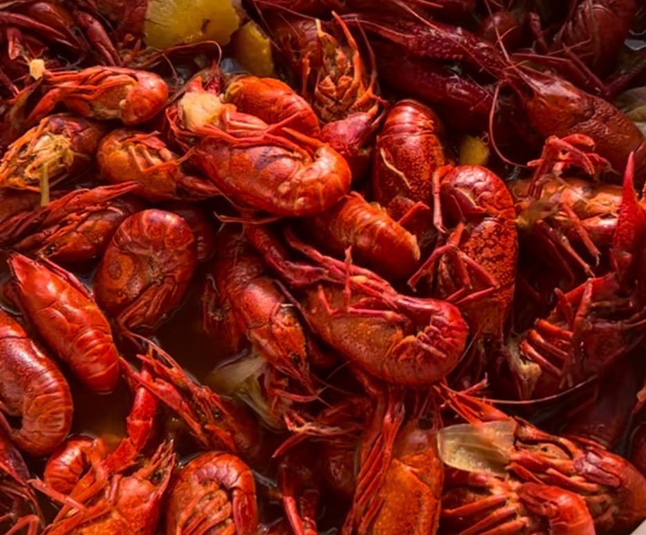 Boiled Crawfish