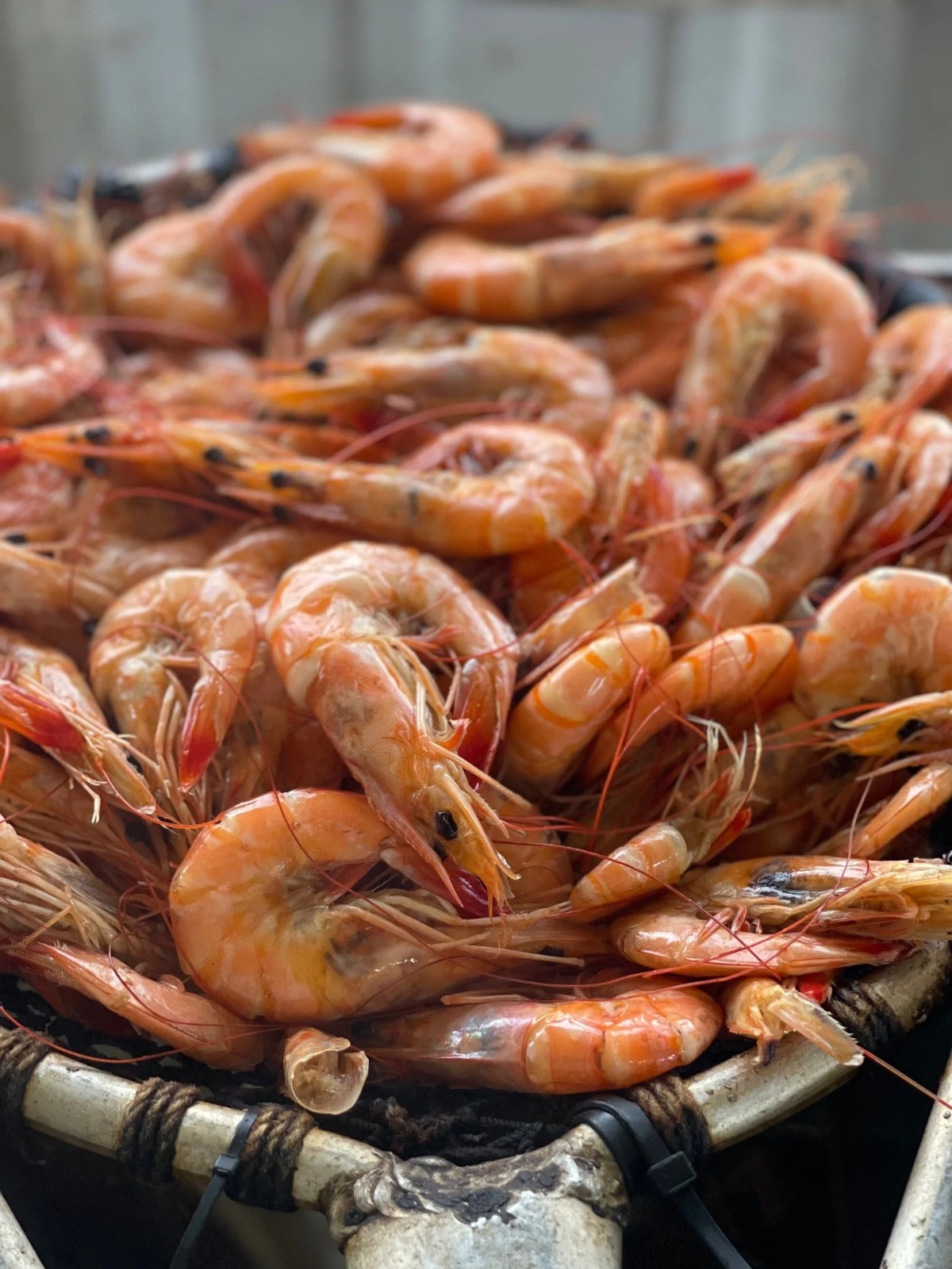 Boiled Shrimp